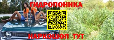 ешки Брянск